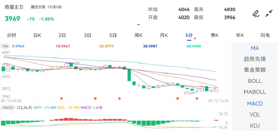 中国体彩网走势图，探索与解读