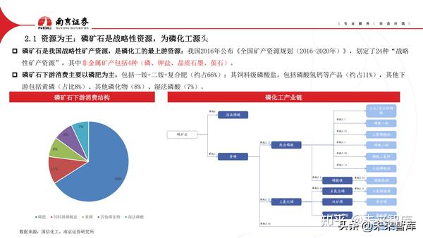 马后炮化工论坛首页，深度解析与前瞻性探讨