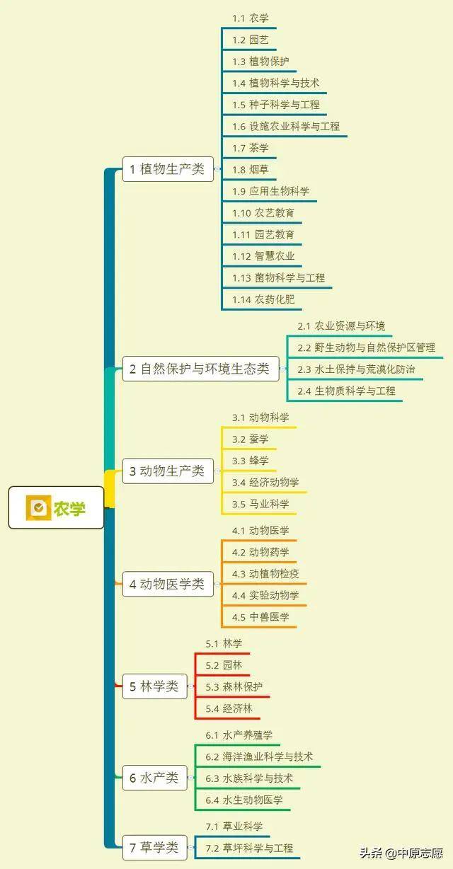 澳门精准资料大全集，探索与解析