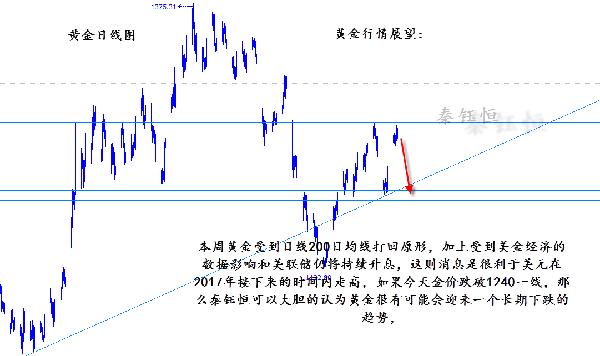 大乐走势图新浪，探索与解读