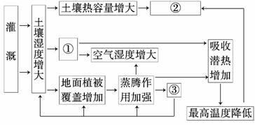 足球计算器中的胜平负，解析其意义与功能