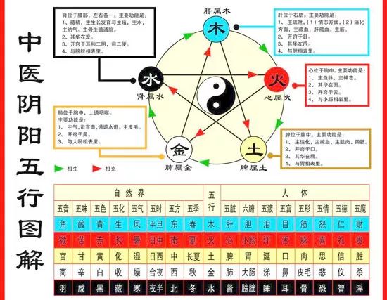 探索3D五行分布图走势图的奥秘