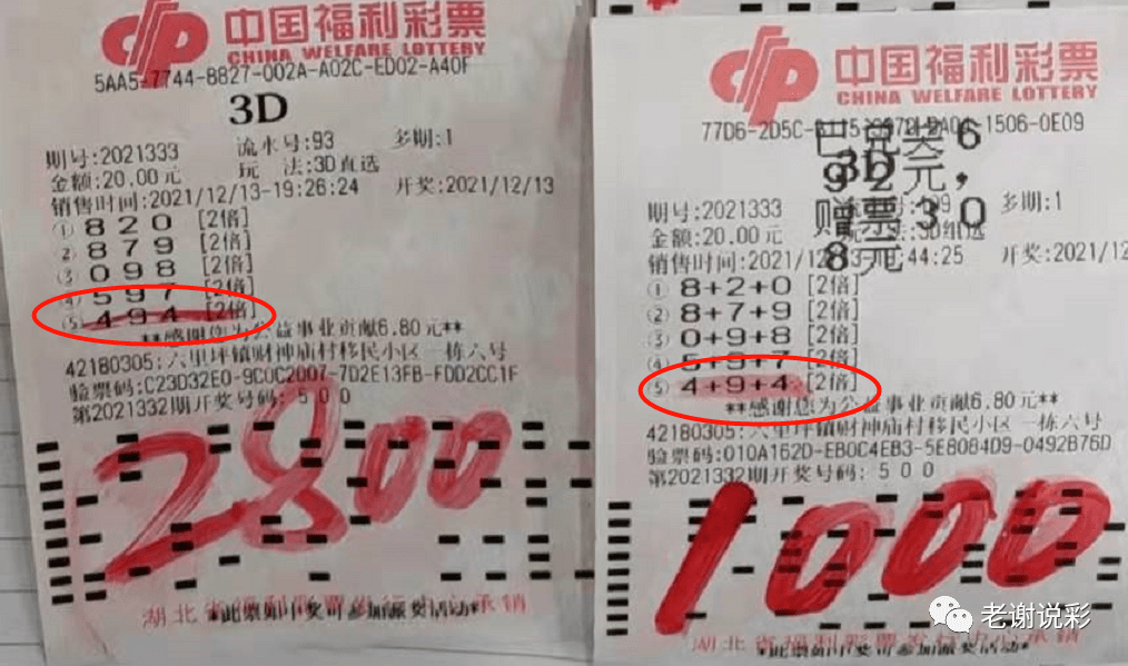七位数开奖结果，揭秘彩票背后的故事七位数开奖结果今天i七位
