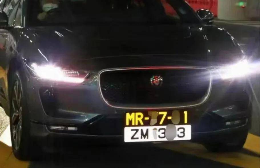 澳门6张牌照归属详解，图片大全及价格探讨澳门六张牌照
