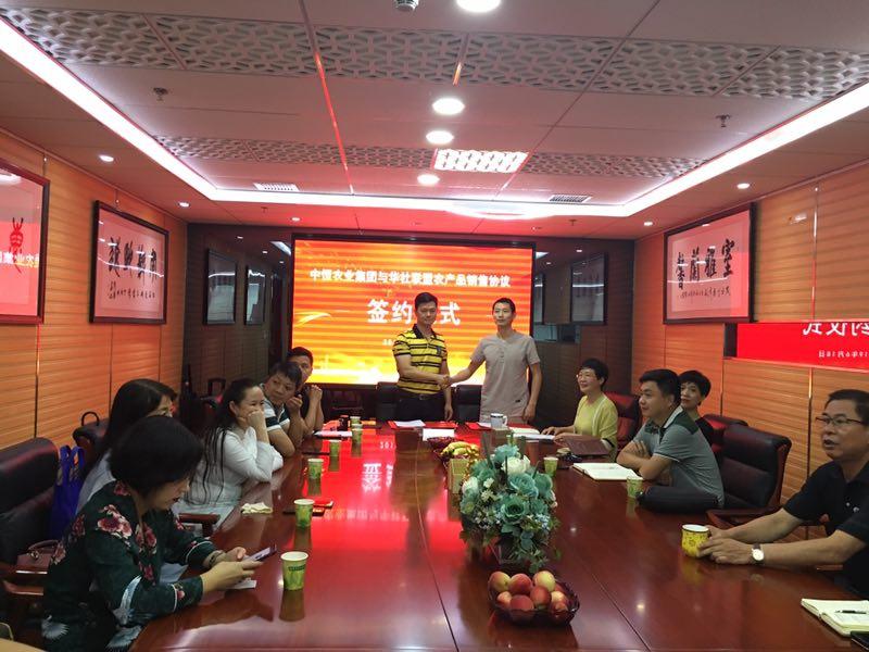 澳门六张牌照归属解析及视频下载软件安装指南澳门六张牌照